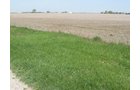 Property photo 34 - 172 Acres Offered in 3 Tracts - Prime Farmland
